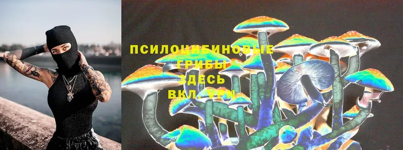 ОМГ ОМГ сайт  Гуково  Галлюциногенные грибы Cubensis 